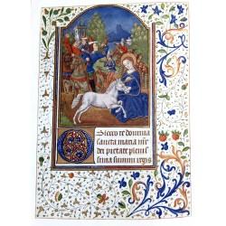 Hunting, Hawking, Shooting, Illustrated in a Catalogue of Books, Manuscripts, Prints and Drawings [Signed]. 4-vol. set